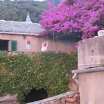 Villa Maison Ancienne Rénovée Avec Vue Sur Et Cap Corse Centuri