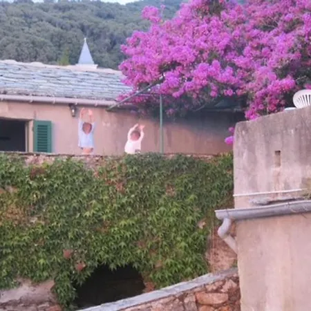 빌라 Maison Ancienne Renovee Avec Vue Sur Et Cap Corse 셍투리