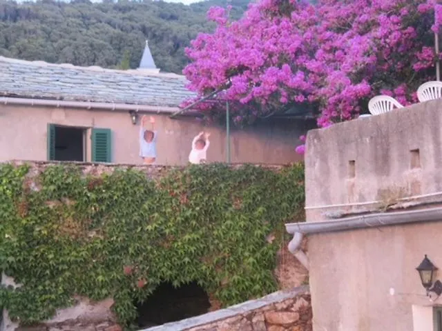 Villa Maison Ancienne Renovee Avec Vue Sur Et Cap Corse Centuri